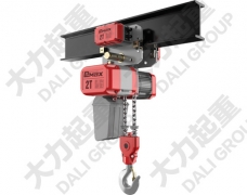 2噸DLER雙鏈條環(huán)鏈電動(dòng)葫蘆運(yùn)行式
