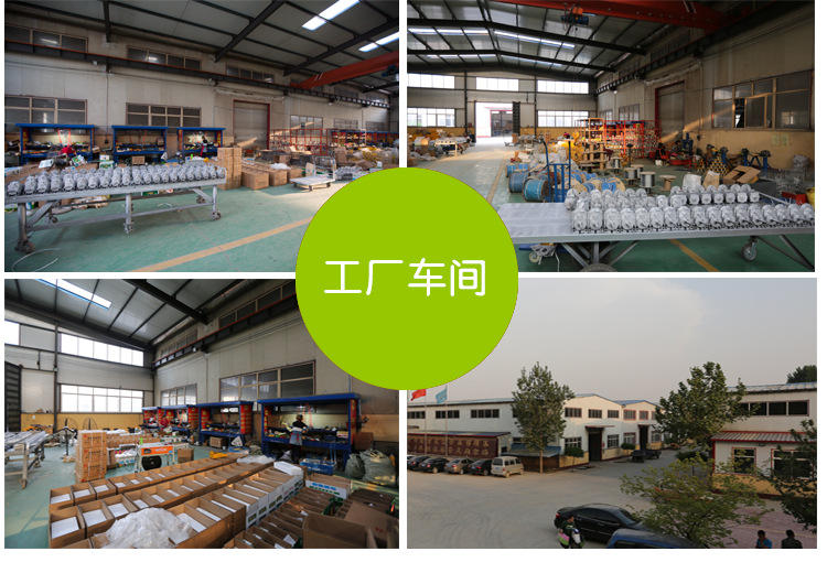 河北大力電動(dòng)葫蘆工廠圖